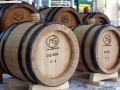 Nocinopoli 2018 - 054