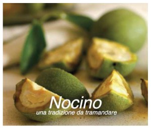 Nocino Tradizione da tramandare